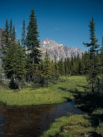 Spend the night stargazing amidst the Rocky Mountains at Jasper National Park